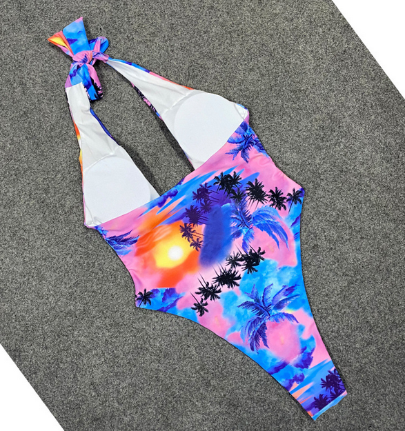 Deep V Neck Swimsuit