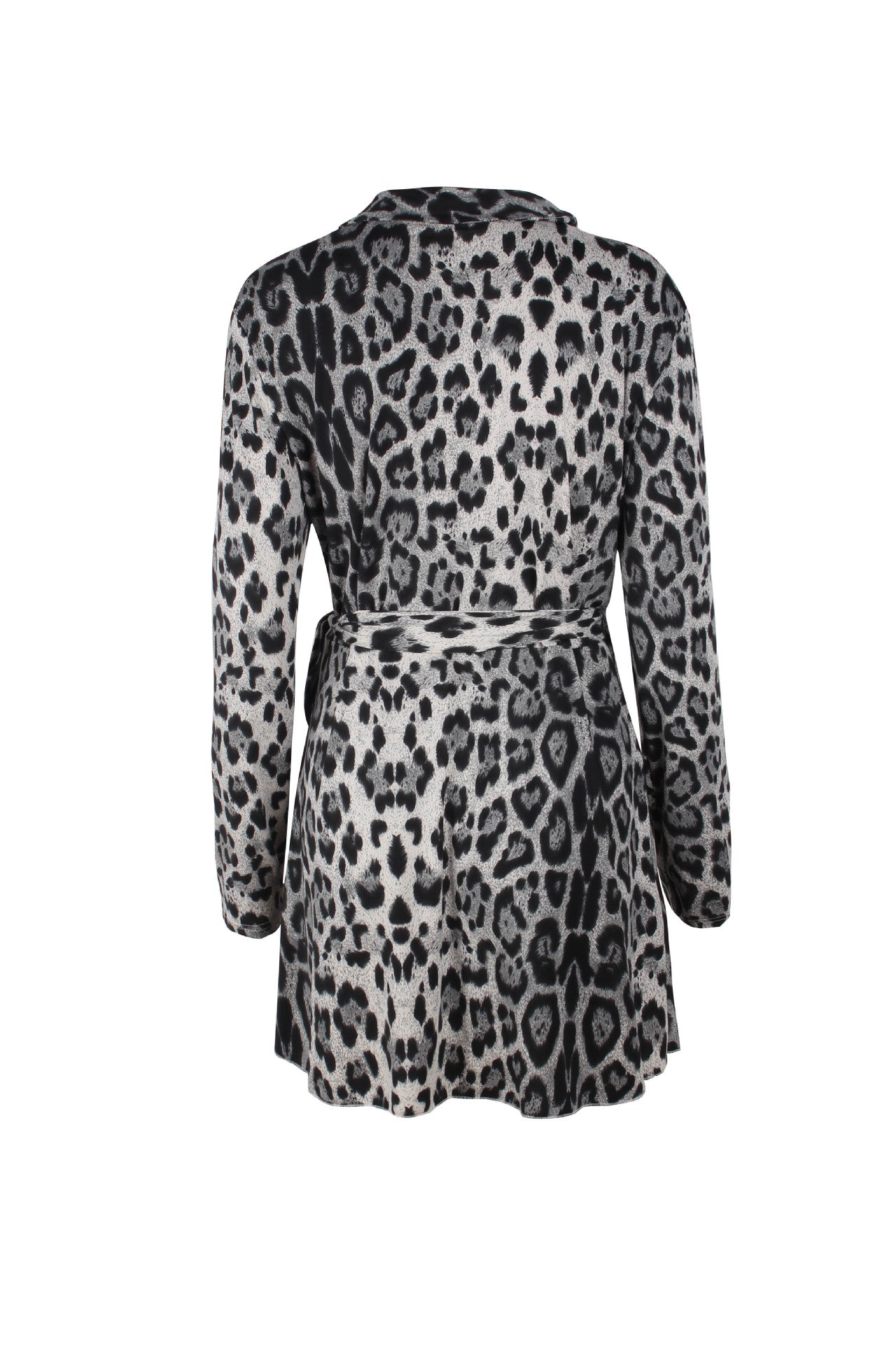 Leopard Print Long Sleeve Dress