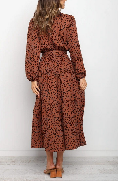 Leopard print Long Sleeve Dress