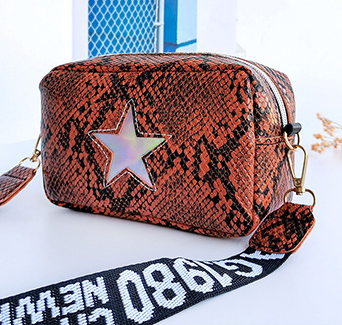 Stars Small Change Bag