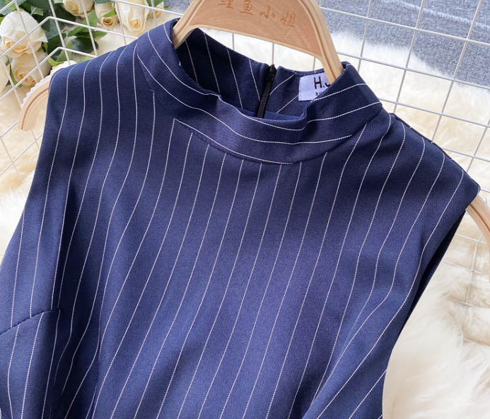 Stripe Sleeveless Dress