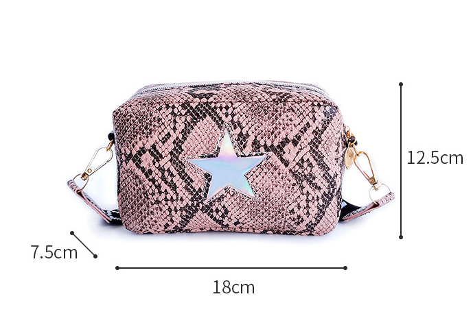 Stars Small Change Bag