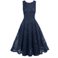 Sleeveless Lace Dress