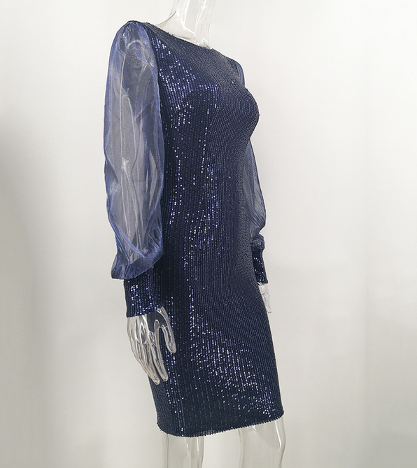Sequins Bodycon Dress