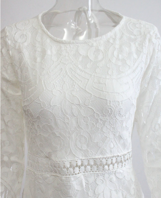Lace Backless Dress