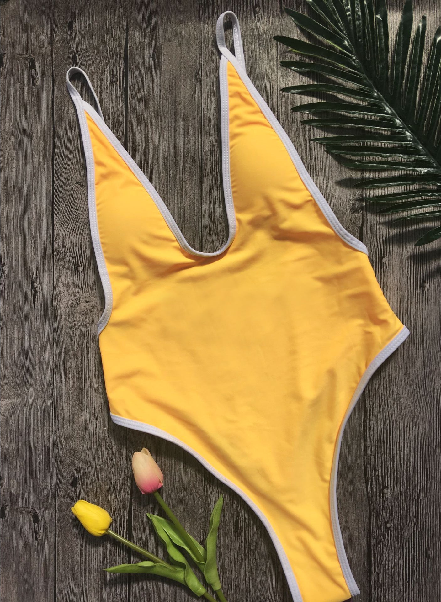 Deep V Neck Bikini