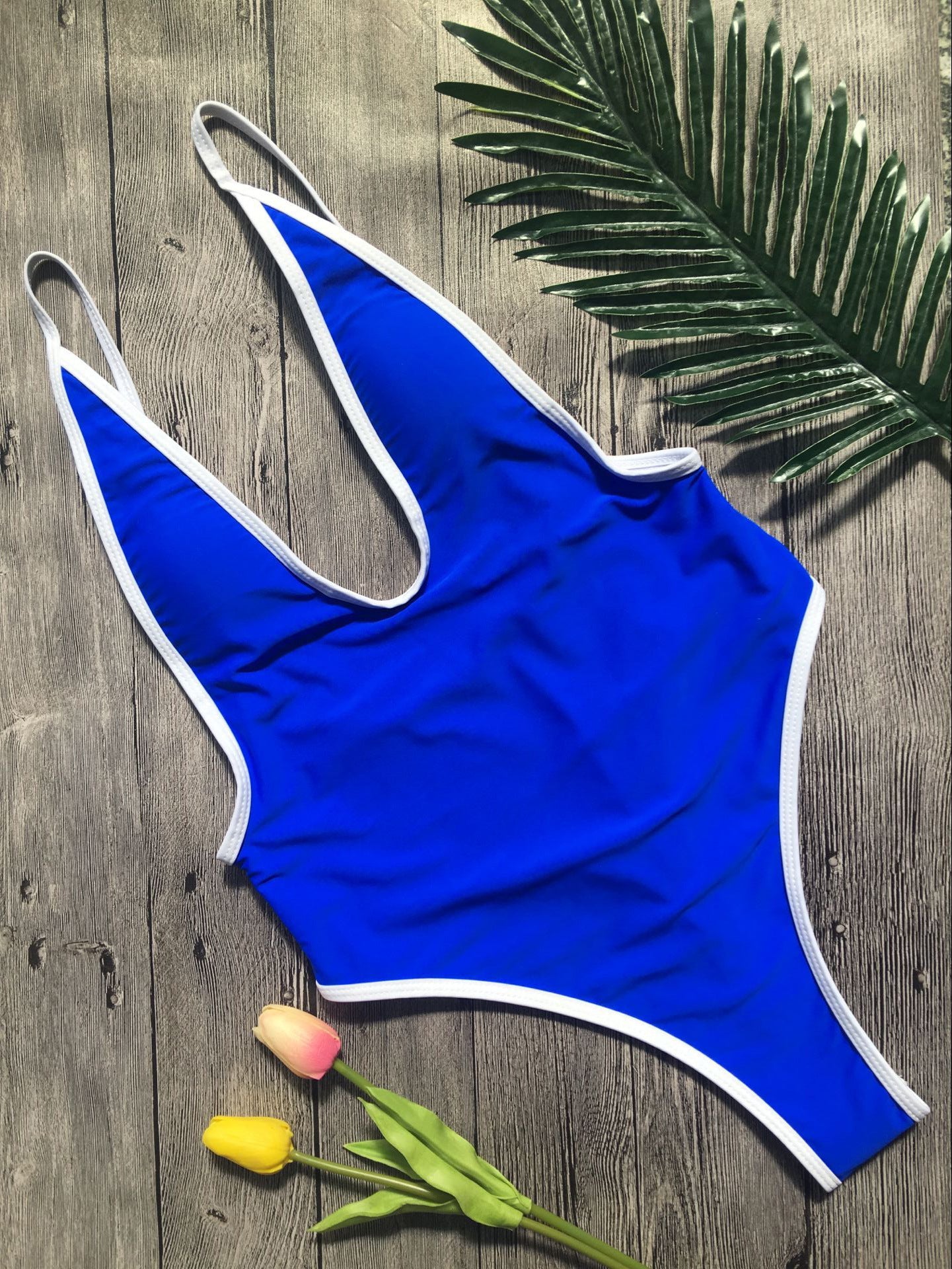 Deep V Neck Bikini