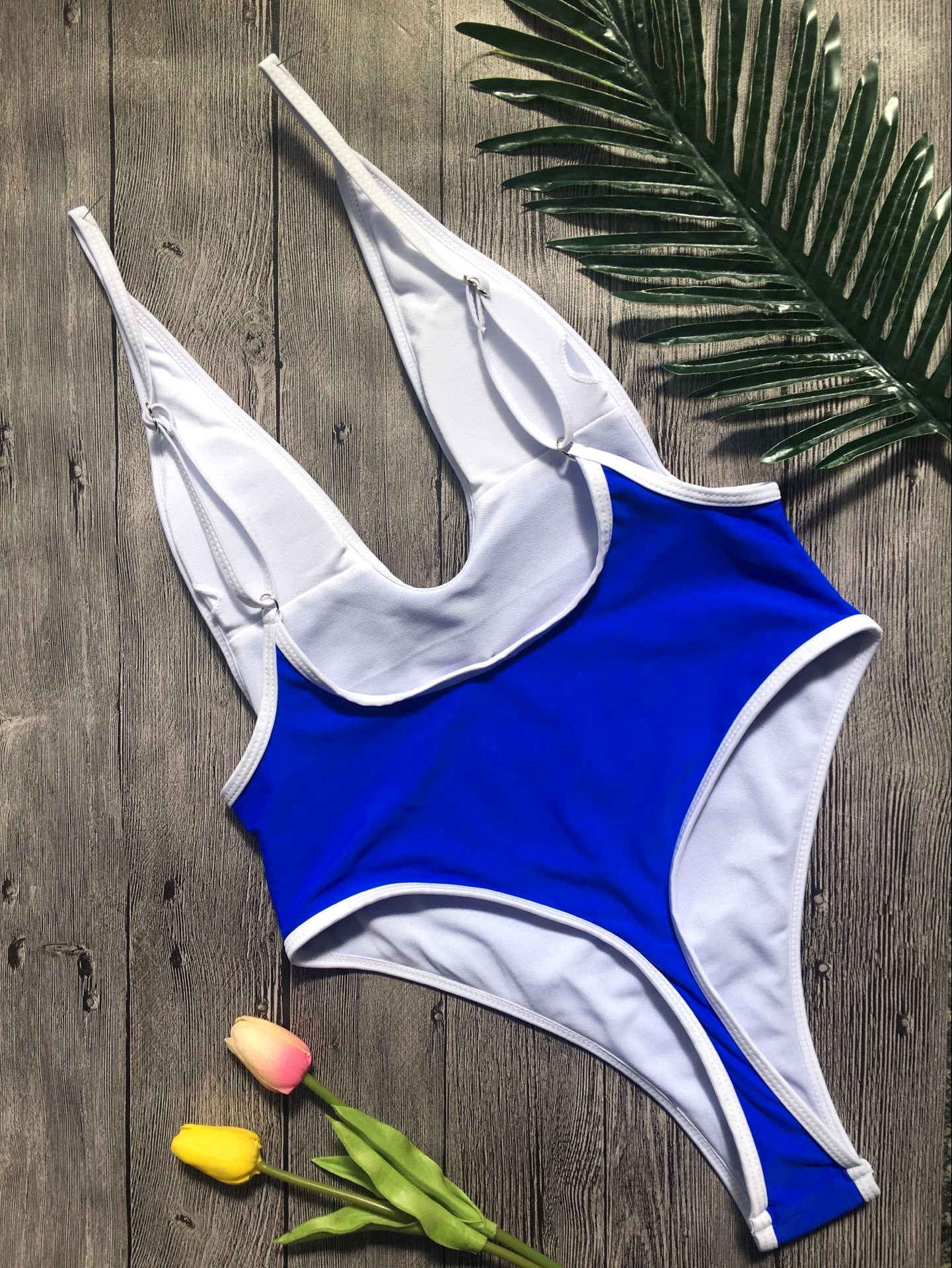 Deep V Neck Bikini