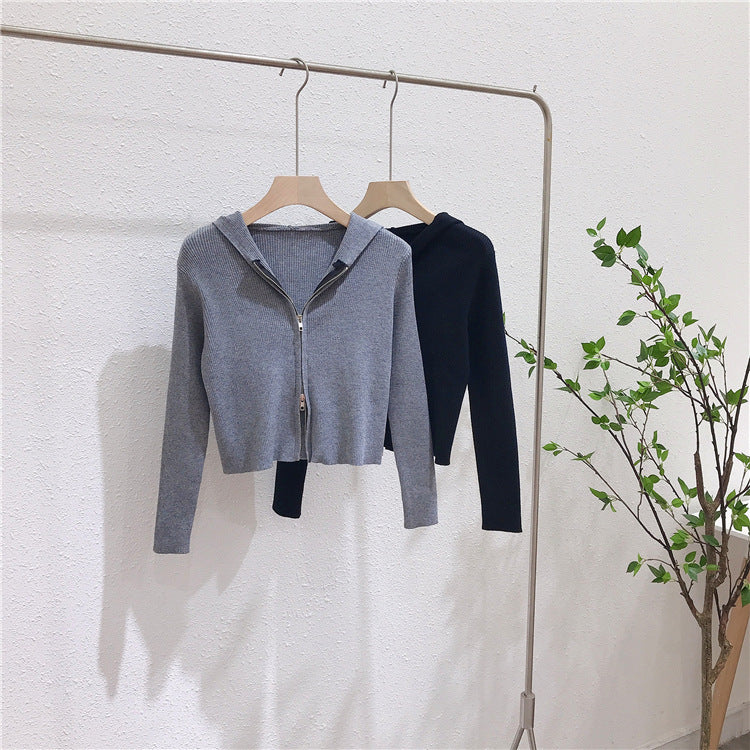 Hooded Knit Top