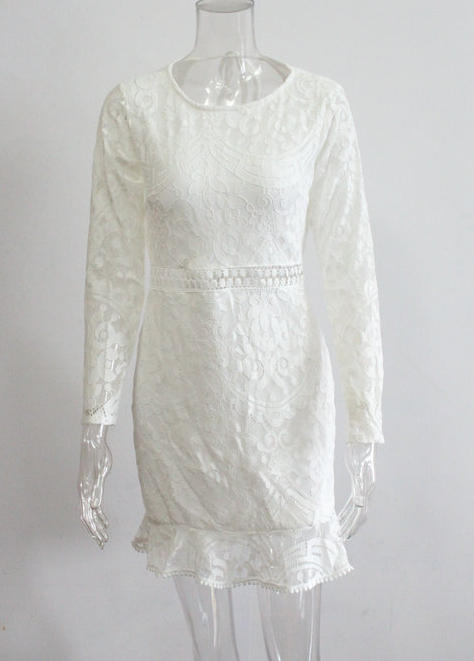 Lace Backless Dress