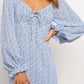 Deep V Neck Long Sleeve Dress