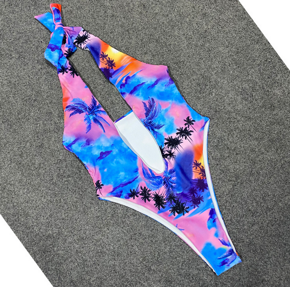 Deep V Neck Swimsuit