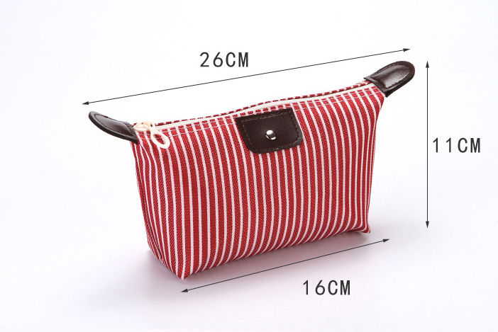 Stripe Cosmetic Bag