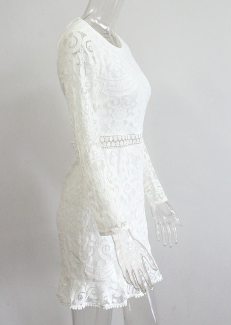 Lace Backless Dress